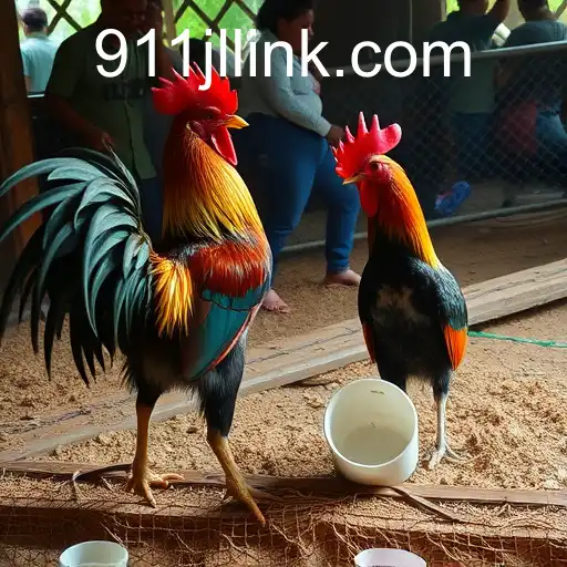 Exploring the Dynamics of Online Sabong